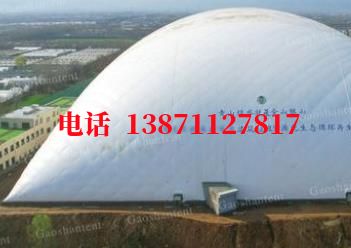 龙子湖气膜棚卷帘门,电动门